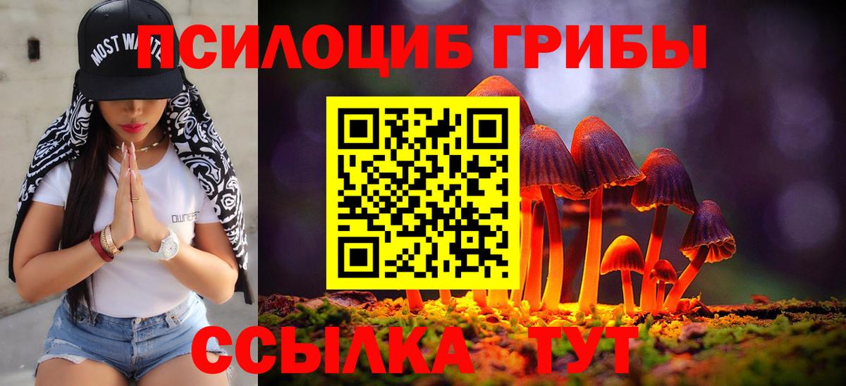 Михайловка  Галлюциногенные грибы MAGIC MUSHROOMS  Вход с VPN 