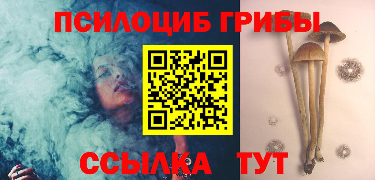 Галлюциногенные грибы прущие грибы Михайловка